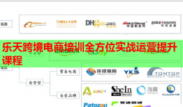 樂天跨境電商培訓(xùn)全方位實戰(zhàn)運營提升課程