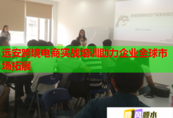 遠(yuǎn)安跨境電商實(shí)戰(zhàn)培訓(xùn)助力企業(yè)全球市場拓展