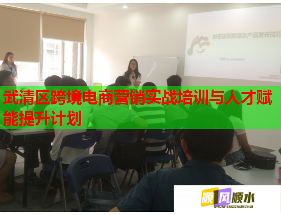 武清區(qū)跨境電商營(yíng)銷實(shí)戰(zhàn)培訓(xùn)與人才賦能提升計(jì)劃 武清區(qū)跨境電商營(yíng)銷實(shí)戰(zhàn)培訓(xùn)與人才賦能提升計(jì)劃