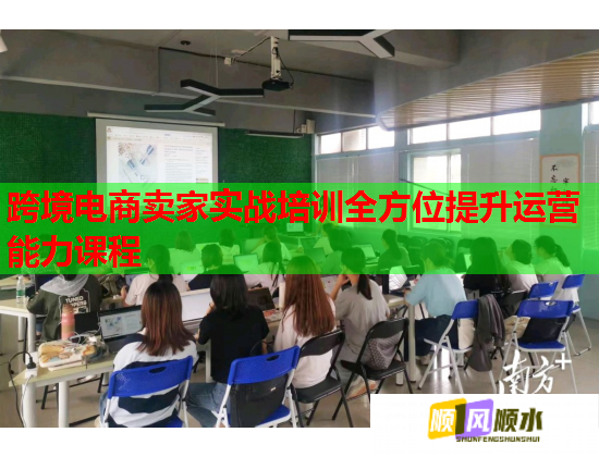 跨境電商賣家實戰(zhàn)培訓全方位提升運營能力課程
