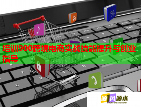 培訓(xùn)900跨境電商實(shí)戰(zhàn)技能提升與創(chuàng)業(yè)指導(dǎo)