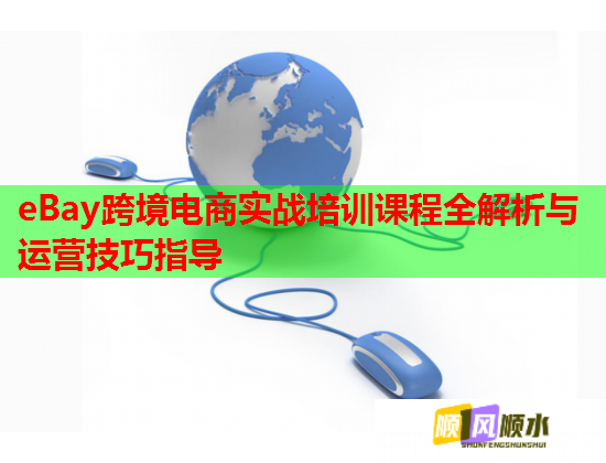 eBay跨境電商實(shí)戰(zhàn)培訓(xùn)課程全解析與運(yùn)營(yíng)技巧指導(dǎo)