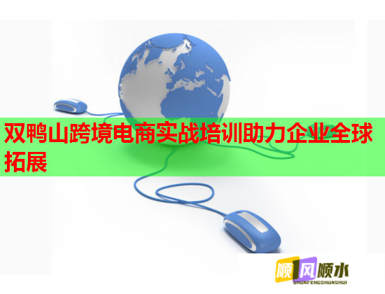 雙鴨山跨境電商實(shí)戰(zhàn)培訓(xùn)助力企業(yè)全球拓展 雙鴨山跨境電商實(shí)戰(zhàn)培訓(xùn)助力企業(yè)全球拓展