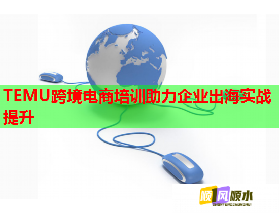 TEMU跨境電商培訓(xùn)助力企業(yè)出海實(shí)戰(zhàn)提升