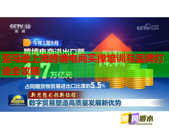 亞馬遜上?？缇畴娚虒嵅倥嘤?xùn)與品牌打造全攻略