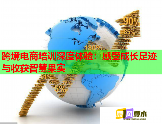 跨境電商培訓(xùn)深度體驗(yàn)：感受成長(zhǎng)足跡與收獲智慧果實(shí)