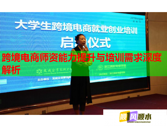 跨境電商師資能力提升與培訓(xùn)需求深度解析